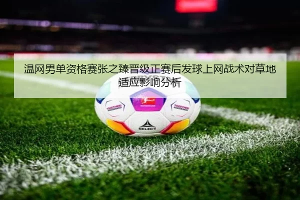 温网男单资格赛张之臻晋级正赛后发球上网战术对草地适应影响分析