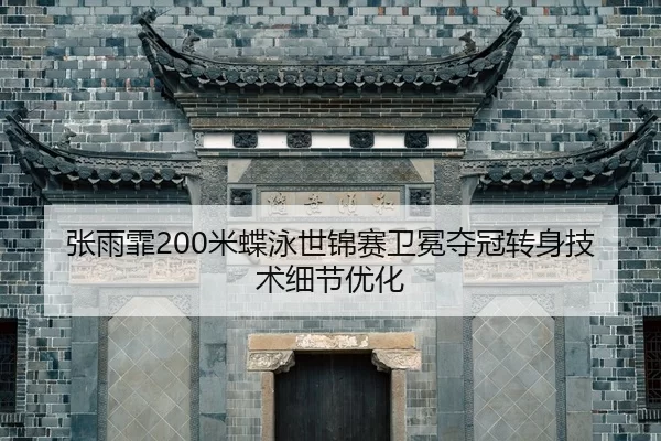 zhang-yu-fei-mi-die-yong-shi-jin-sai-wei-mian-duo-guan-zhuan-shen-ji-shu-xi-jie-you-hua-2-781.jpg