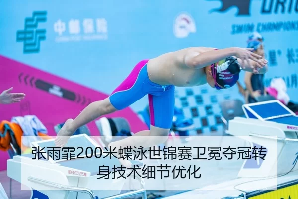 zhang-yu-fei-mi-die-yong-shi-jin-sai-wei-mian-duo-guan-zhuan-shen-ji-shu-xi-jie-you-hua-3-514.jpg